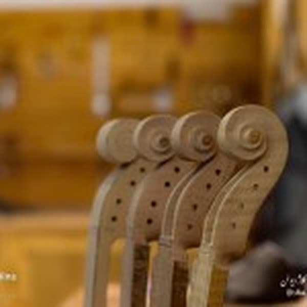جزئیات حلزونی و گوشیها