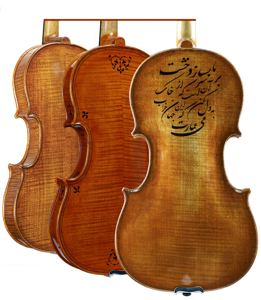 حرفه‌ای استاندارد